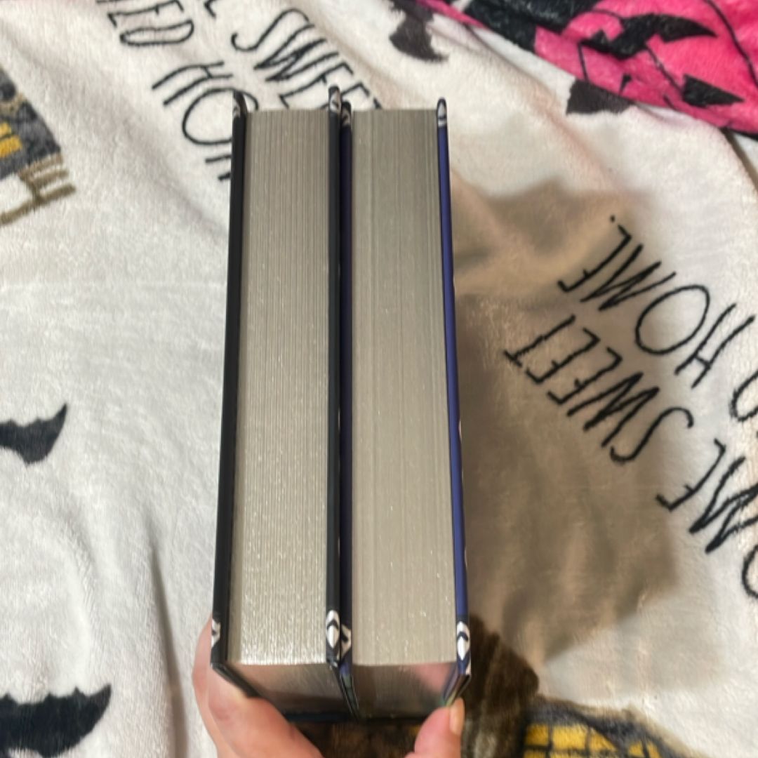 Owlcrate Silver in the Bone & The mirror of Beasts