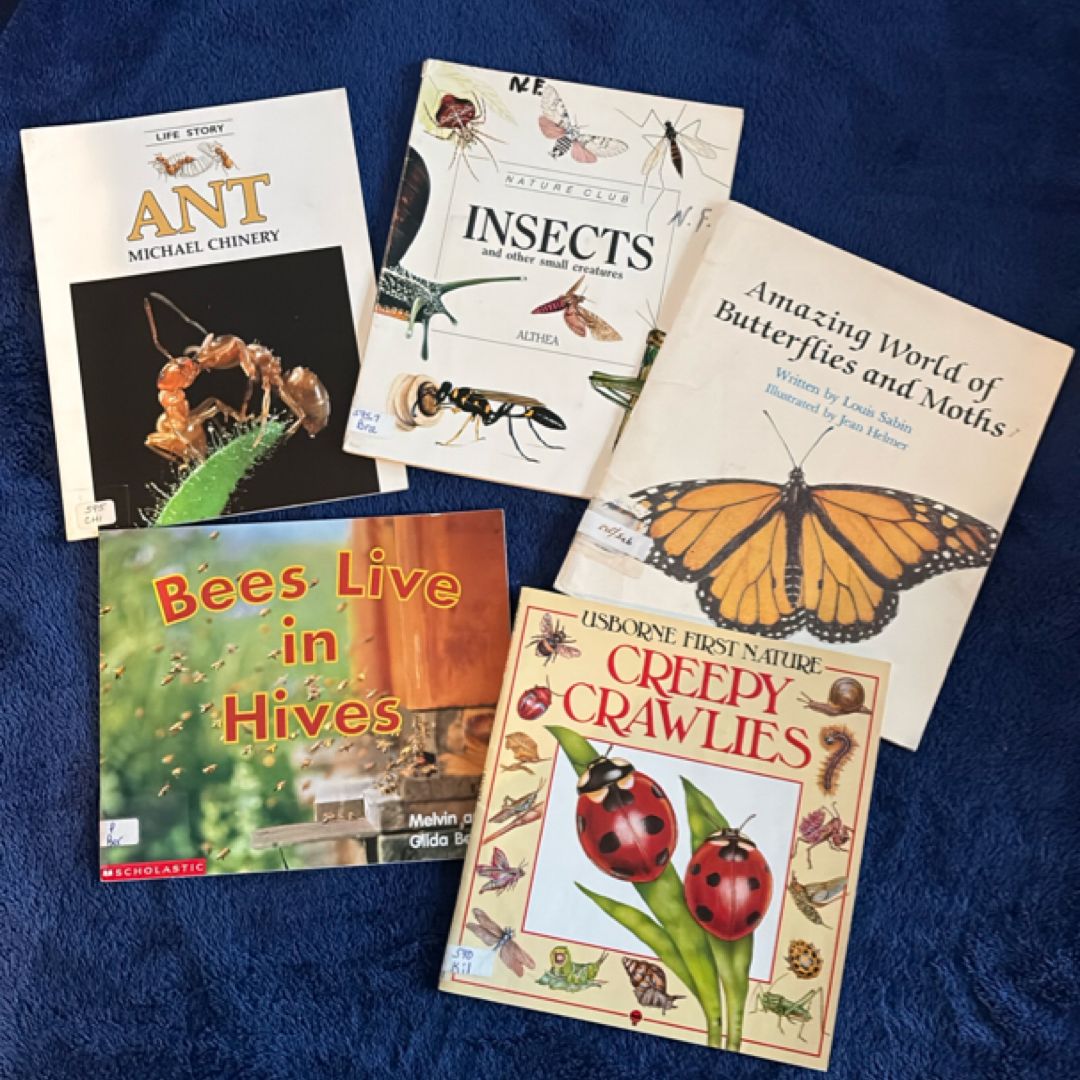 Bug & Insect Books for Kids (Butterflies, Bees & Ants) | Science Bundle Ages 6–9