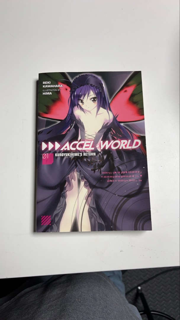 Accel World, Vol. 1 (light Novel)