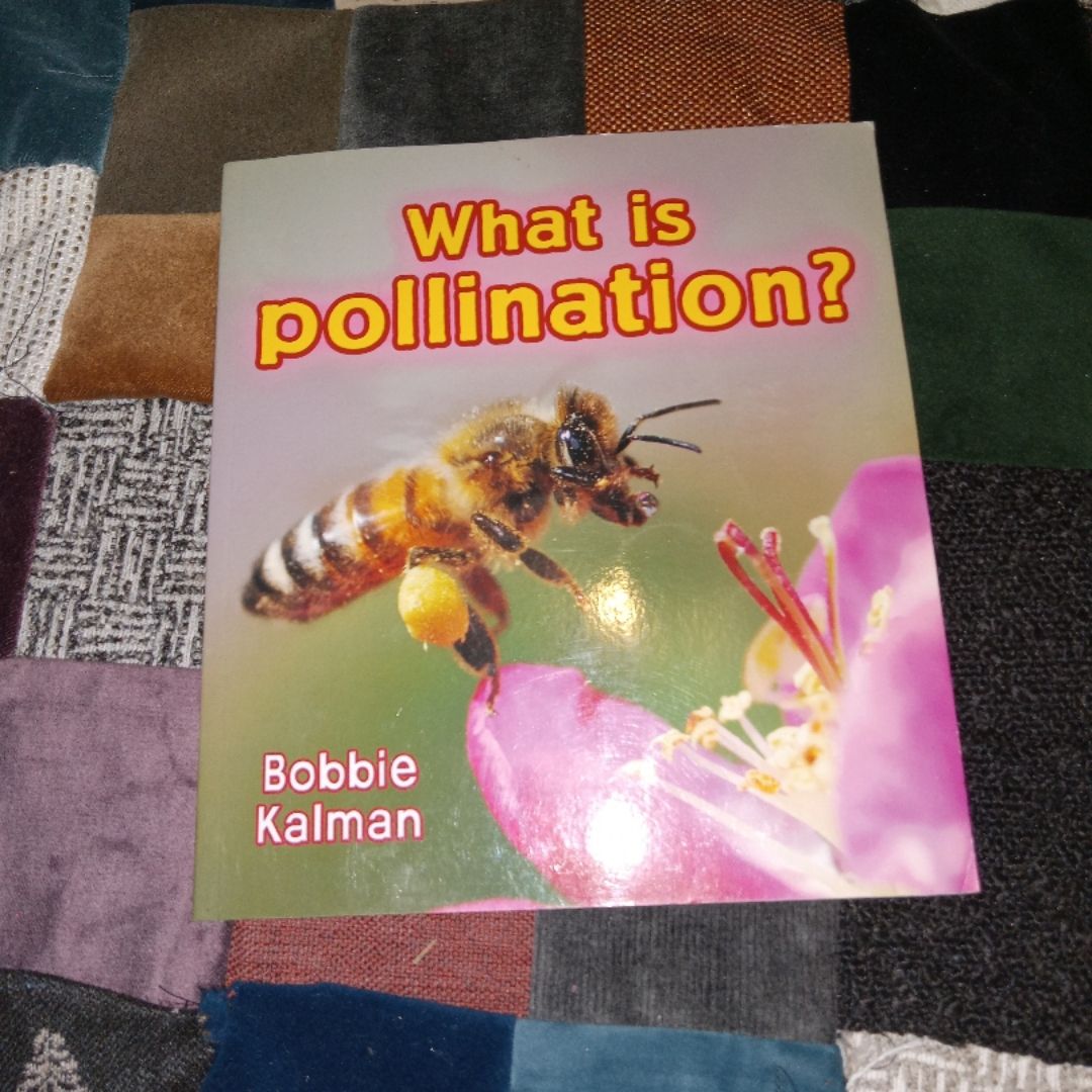 What Is Pollination?
