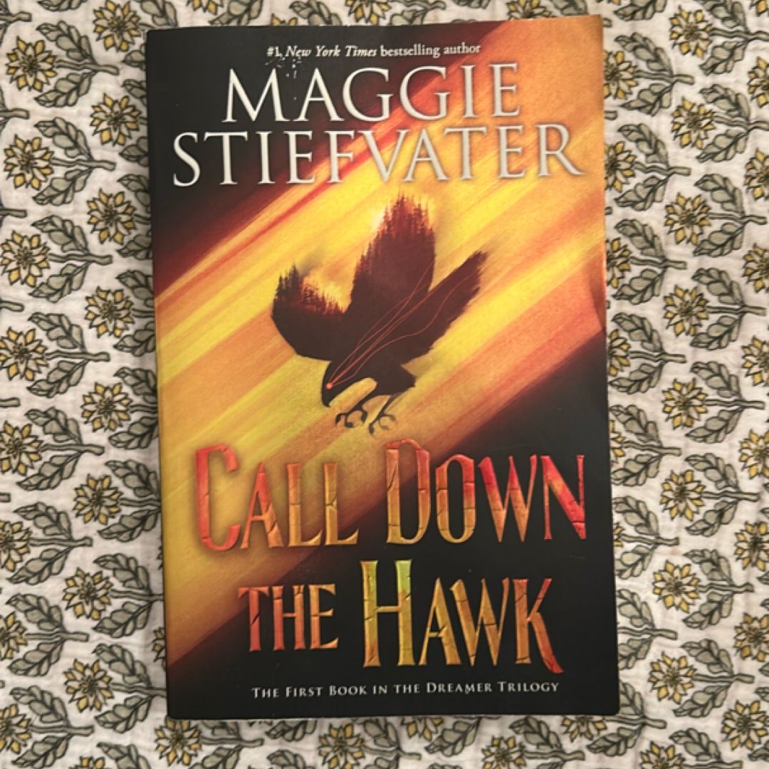 Call down the Hawk (the Dreamer Trilogy, Book 1)