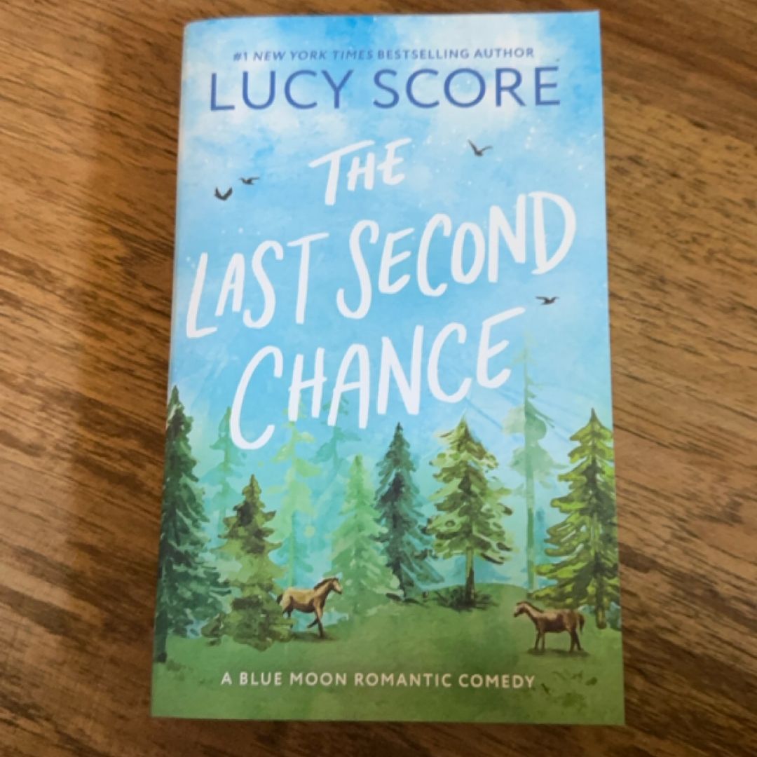 The Last Second Chance