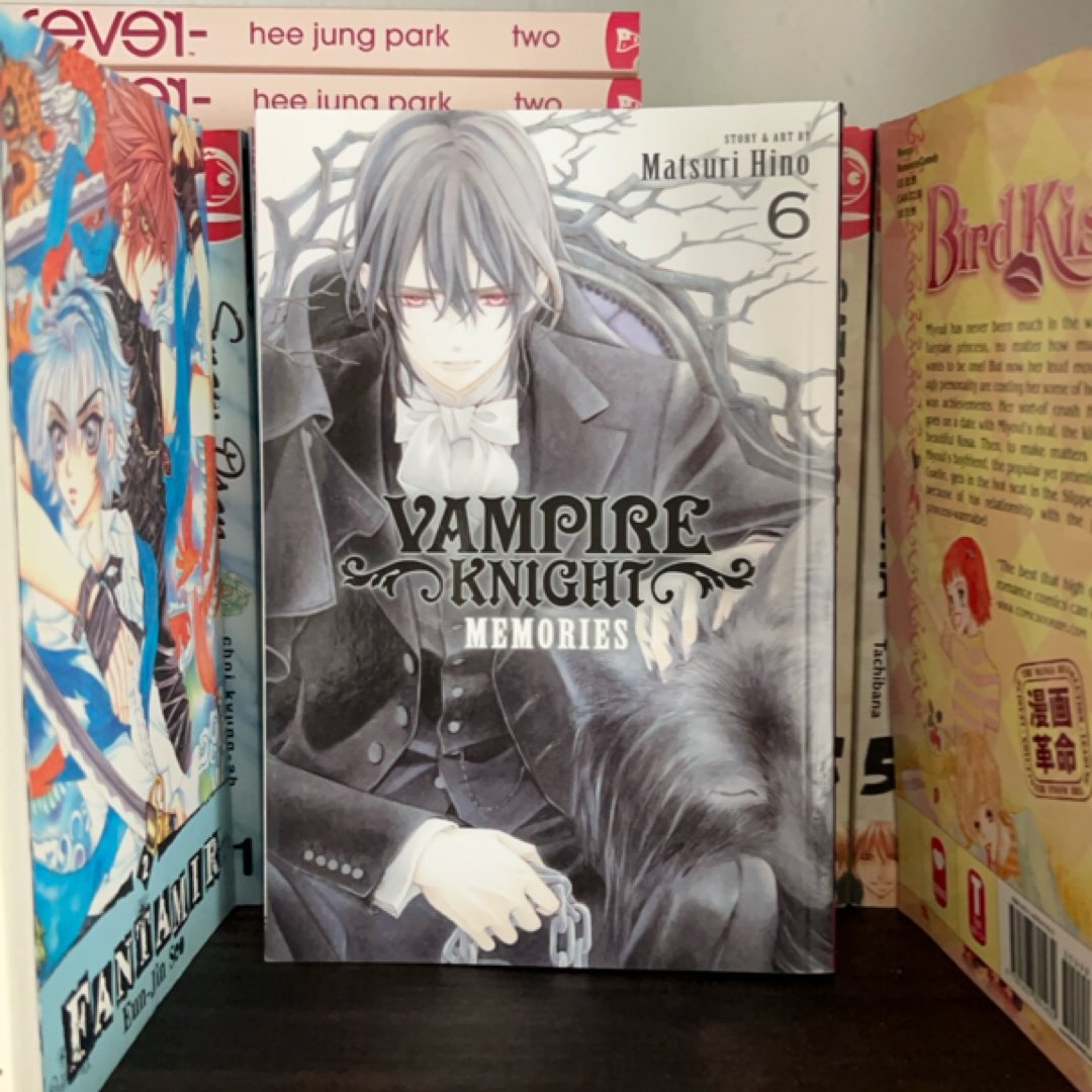 Vampire Knight: Memories, Vol. 6