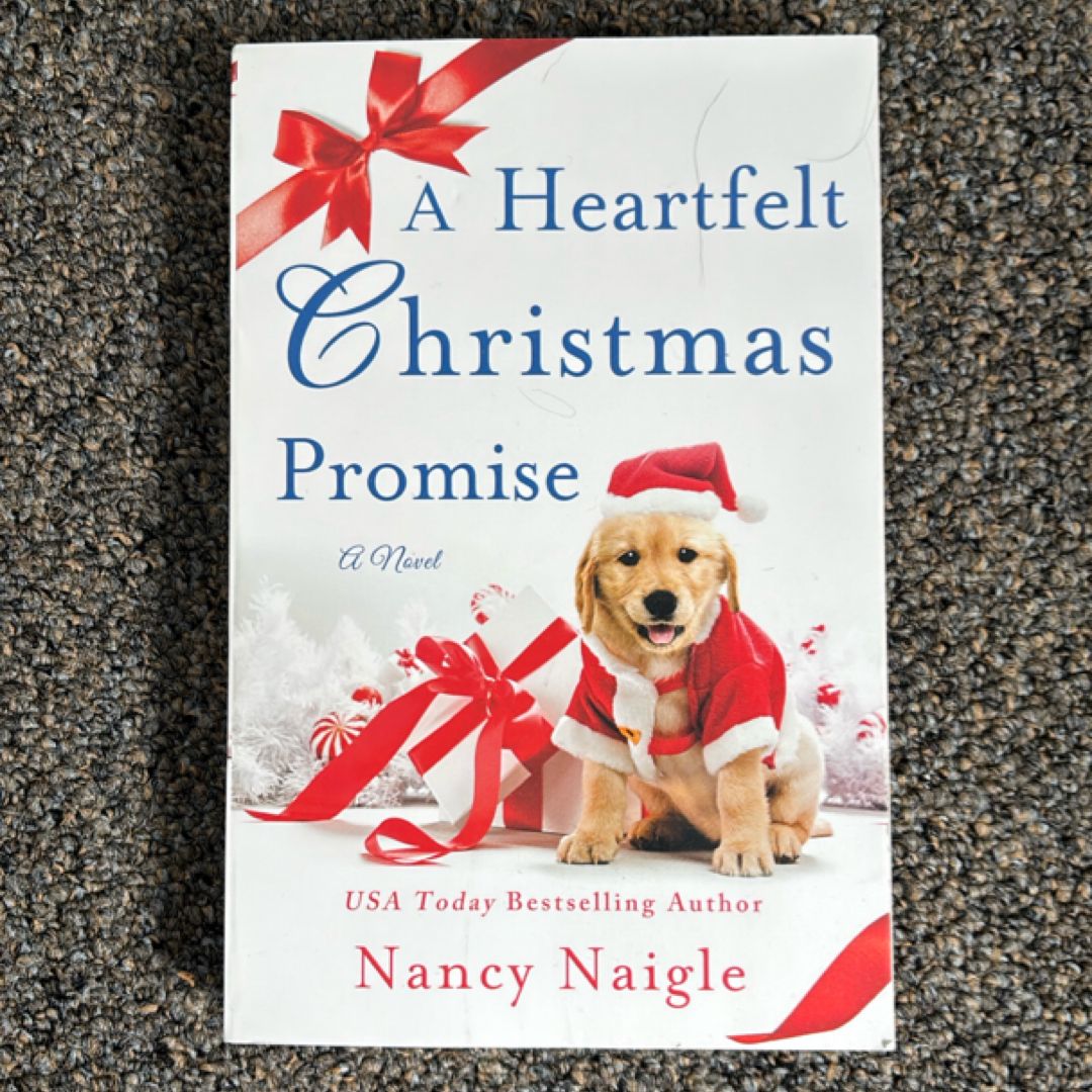 A Heartfelt Christmas Promise