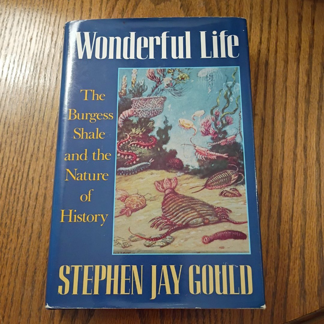 Wonderful Life