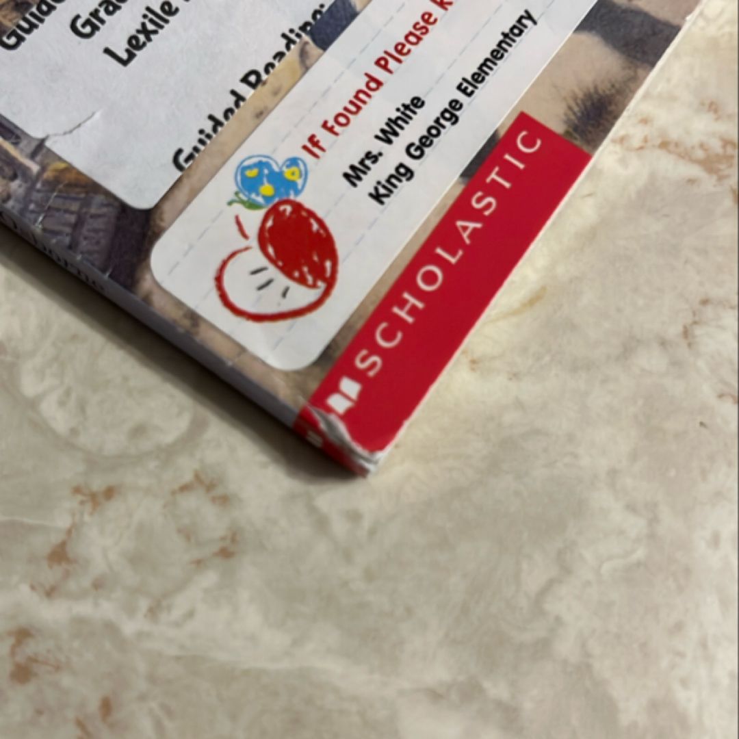 Good Morning, Gorillas