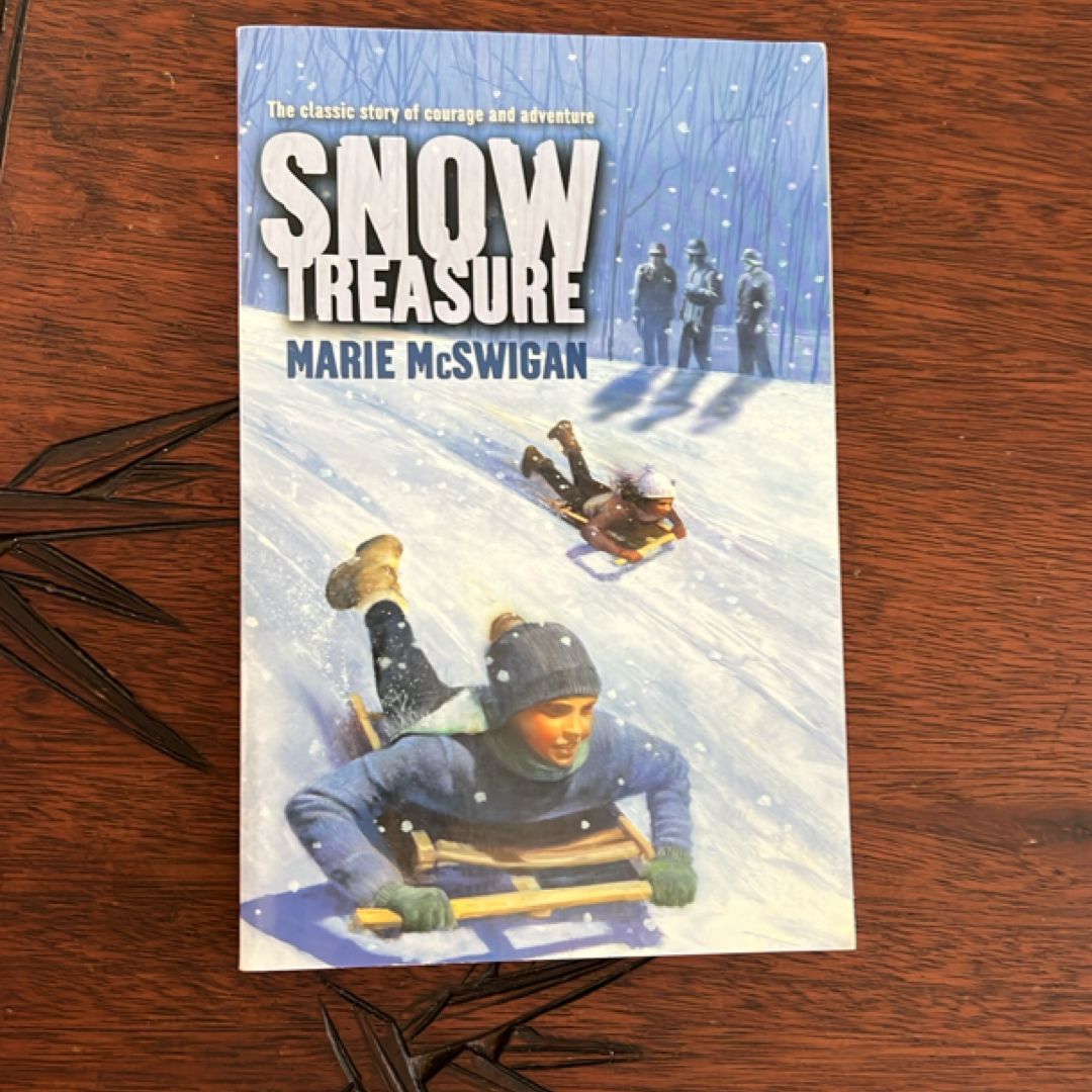 Snow Treasure
