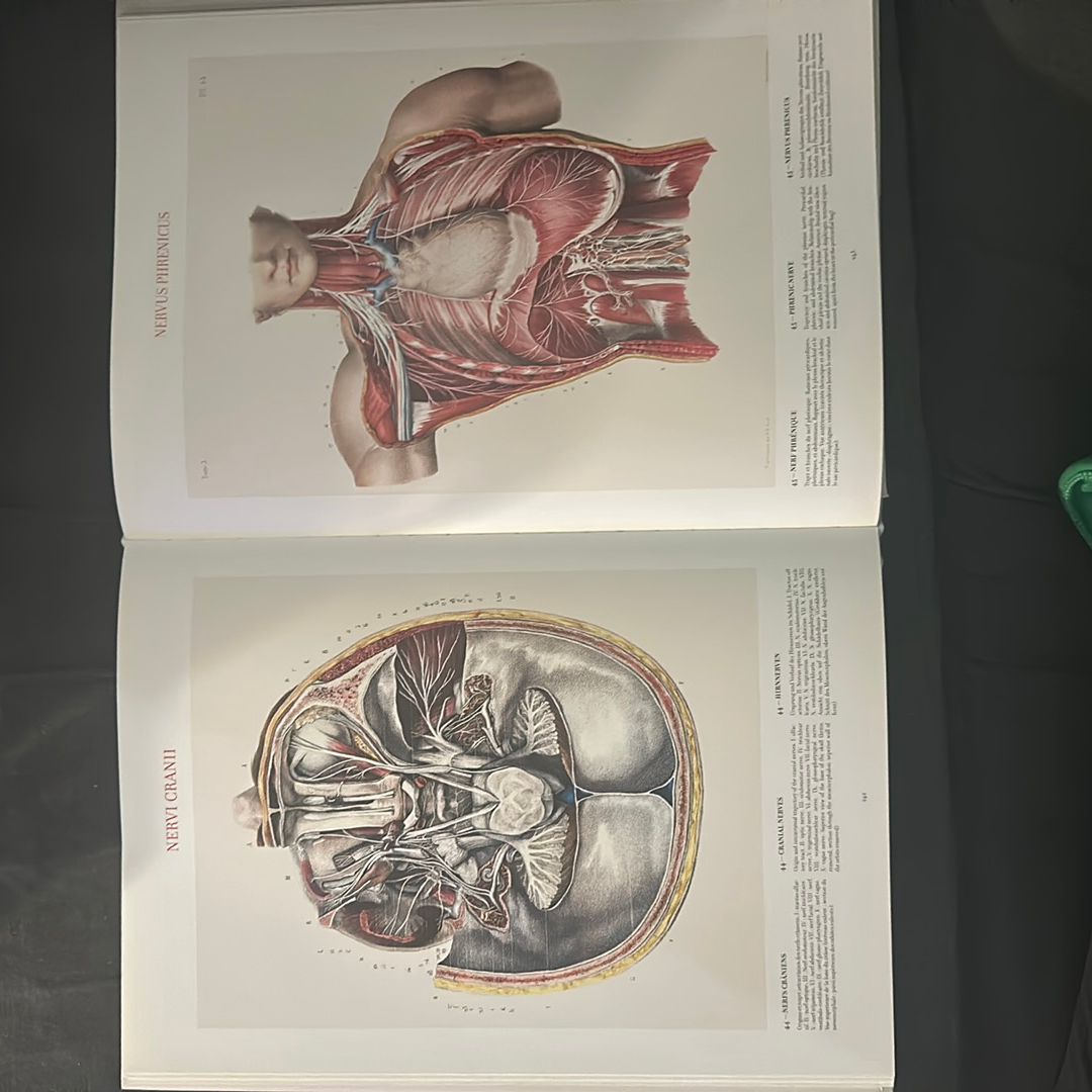 Atlas of Human Anatomy and Surgery Volume 1 by | PangoBooks