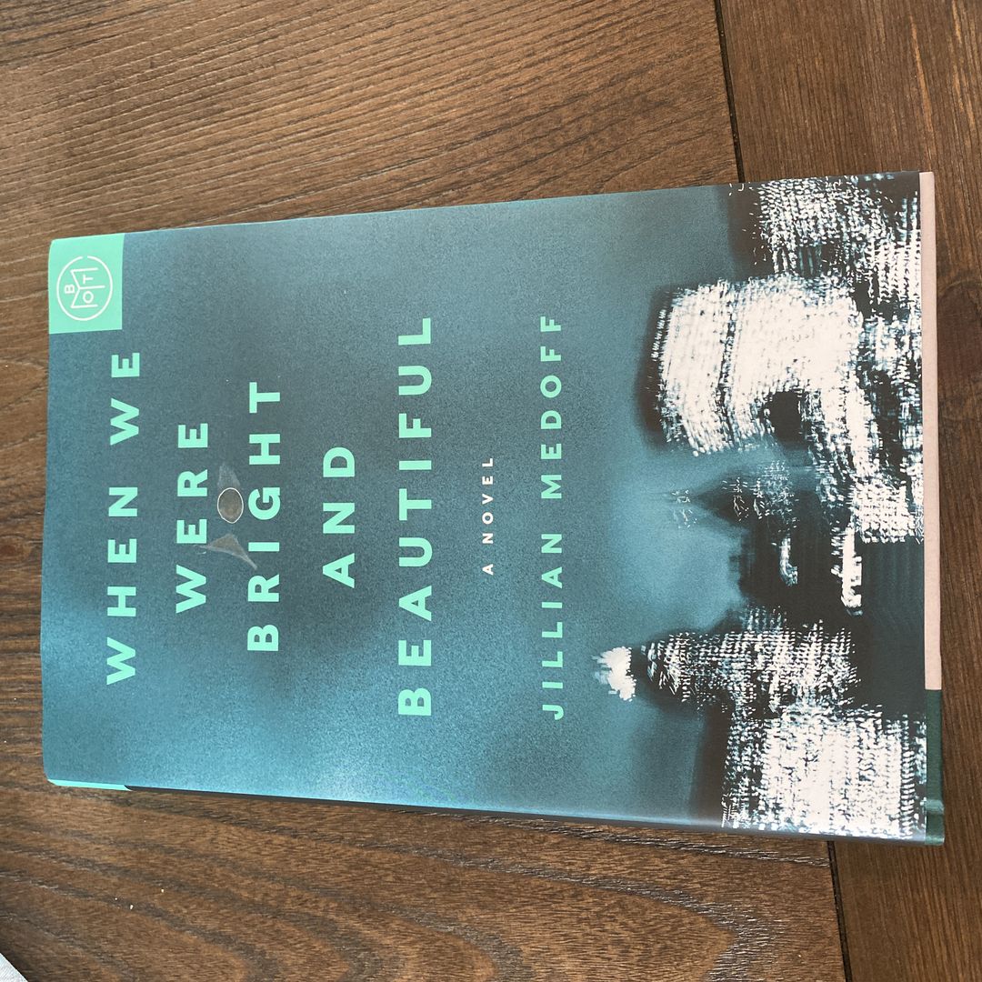 When We Were Bright and Beautiful