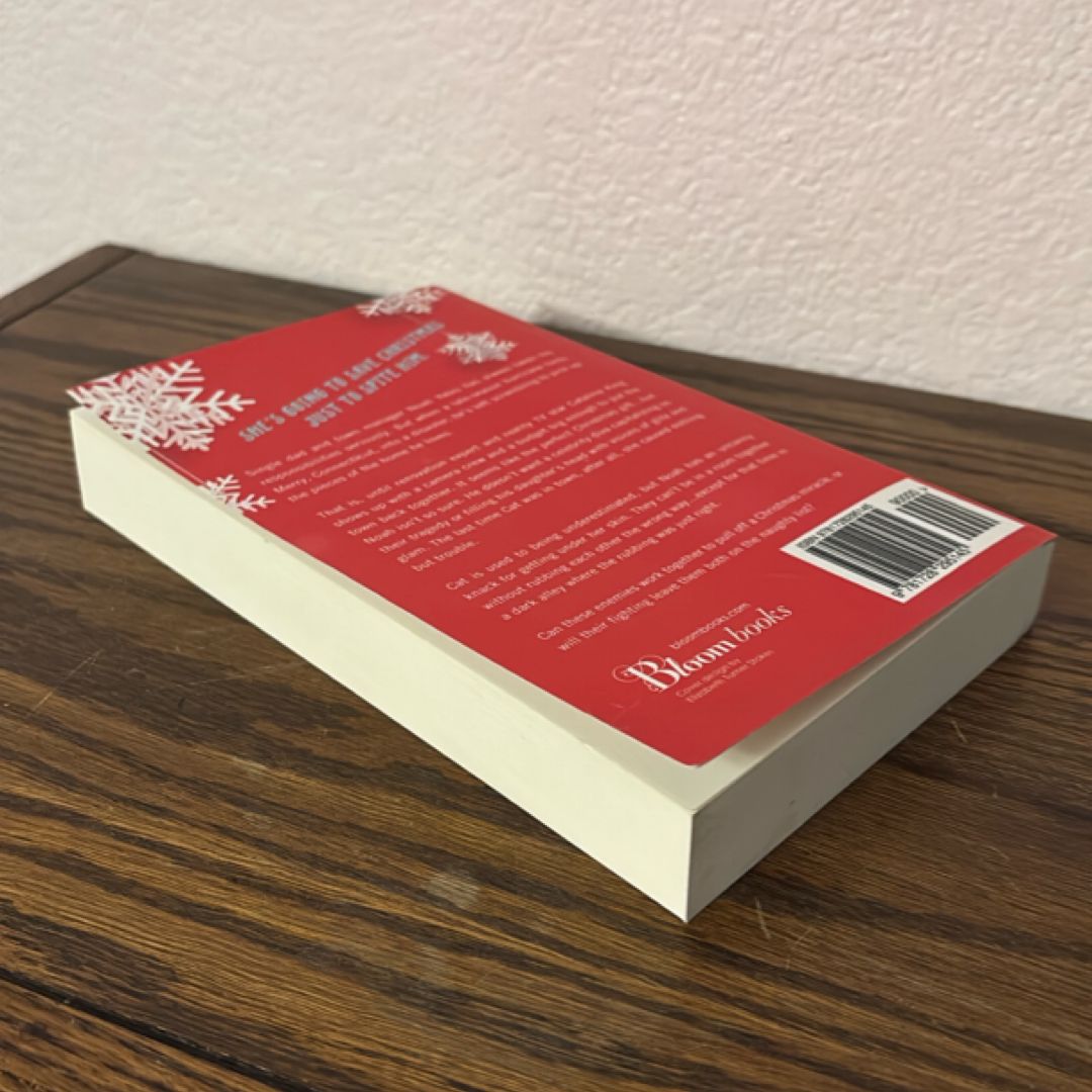 The Christmas Fix