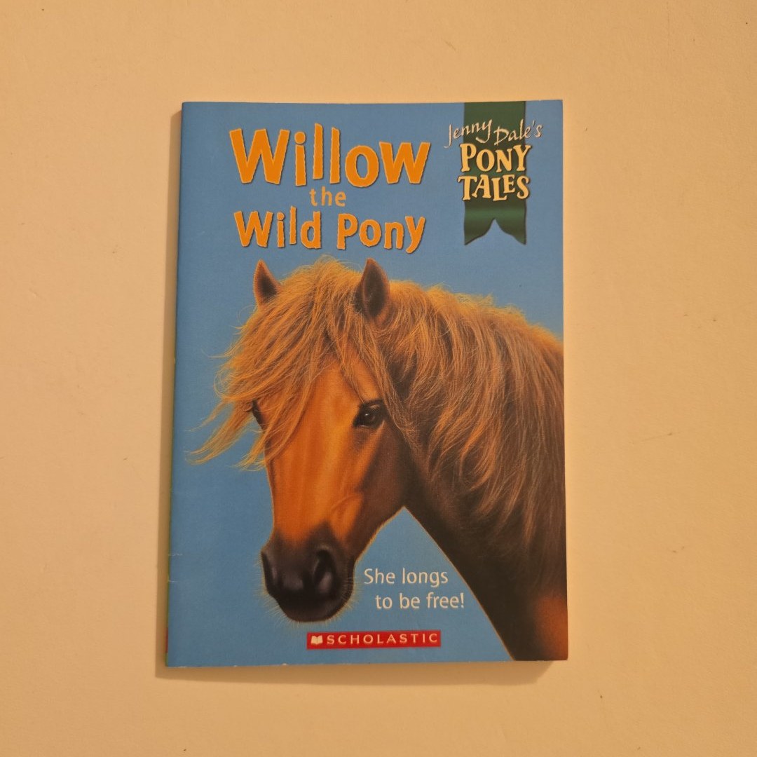 Willow the Wild Pony