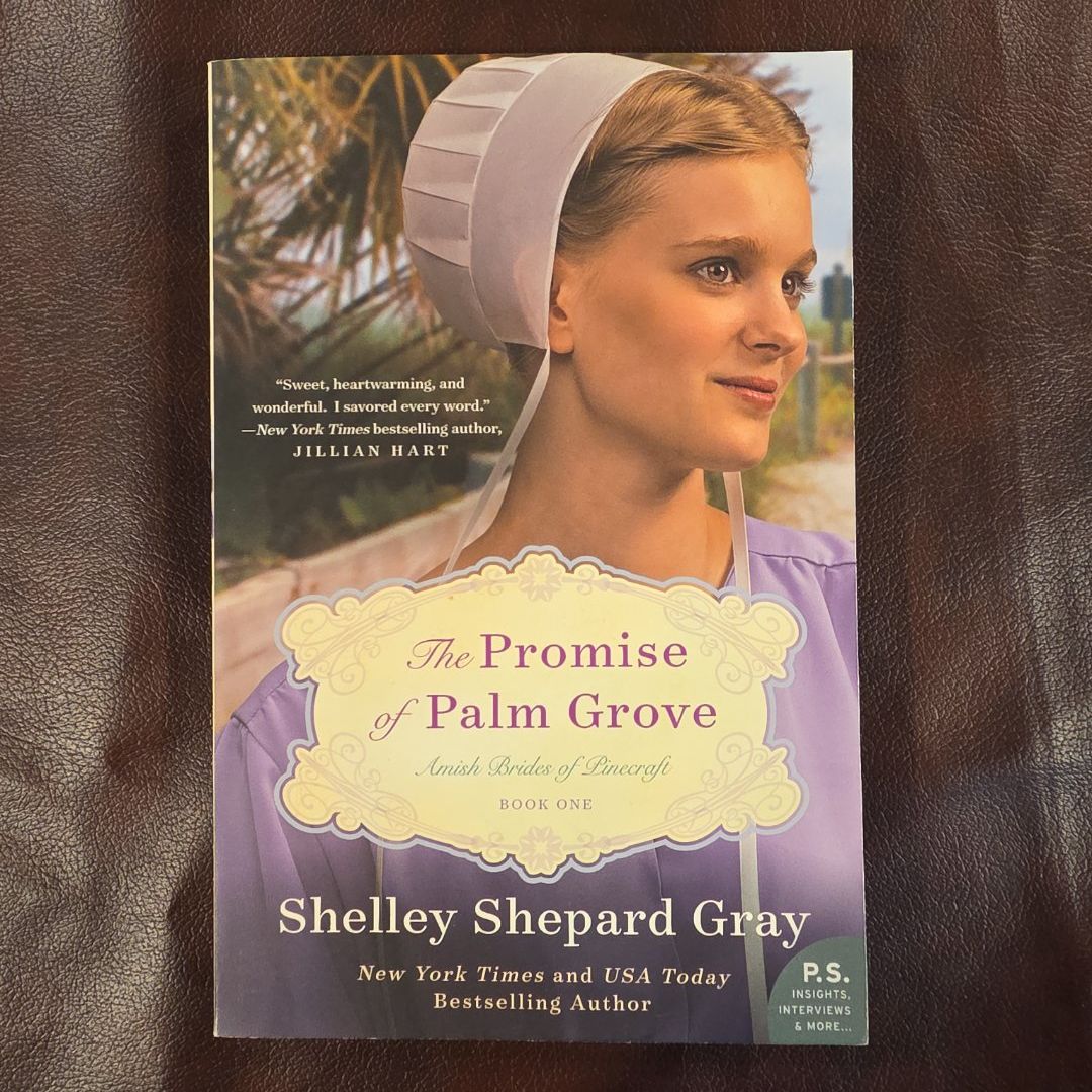 The Promise of Palm Grove
