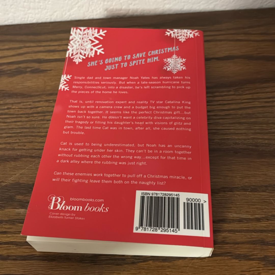 The Christmas Fix