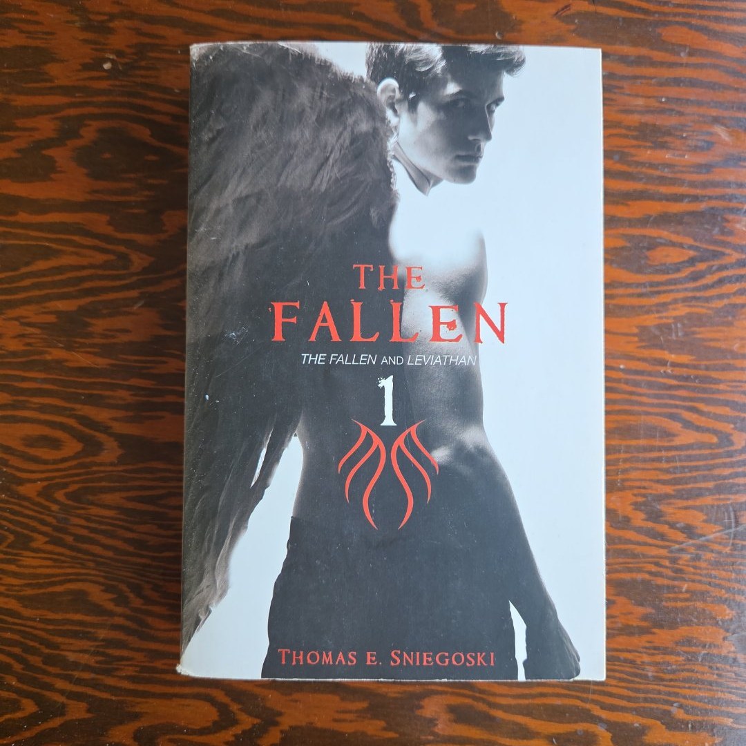 The Fallen 4