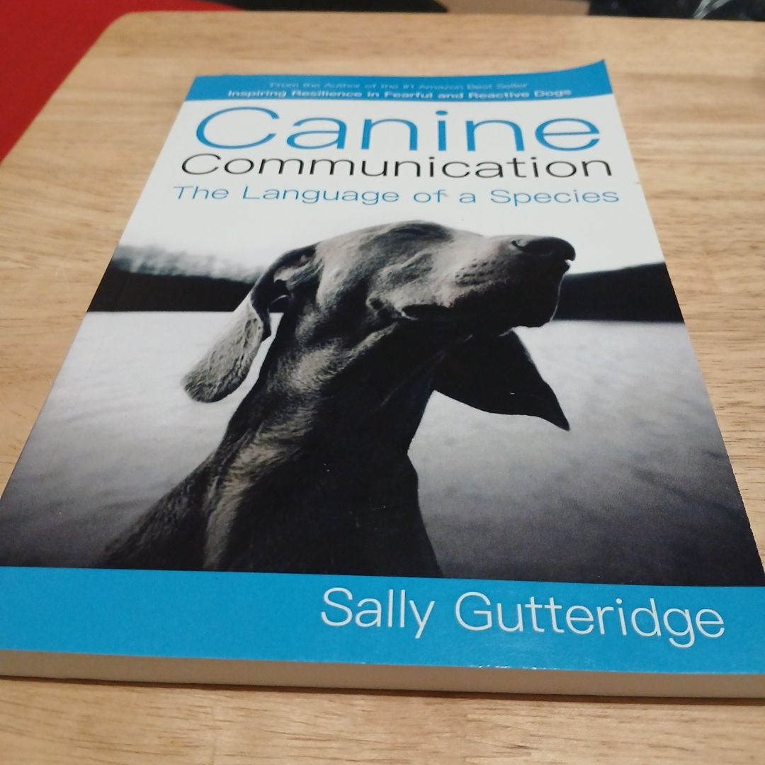 Canine Communication