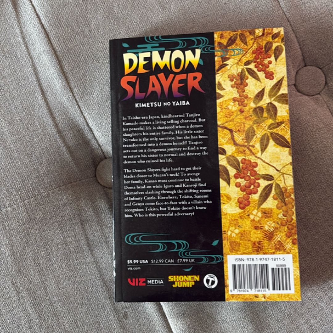 Demon Slayer: Kimetsu No Yaiba, Vol. 19