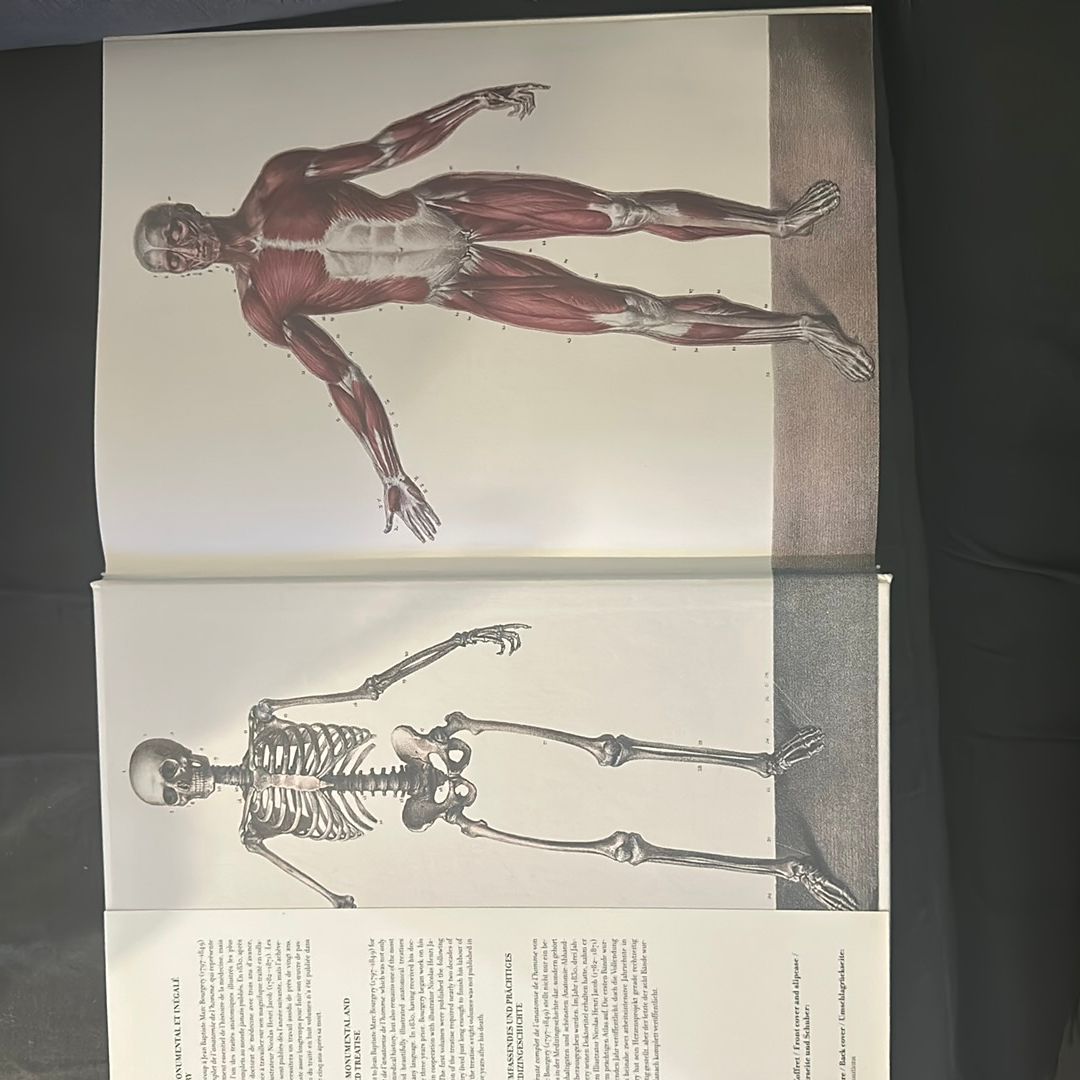 Atlas of Human Anatomy and Surgery Volume 1 by | PangoBooks