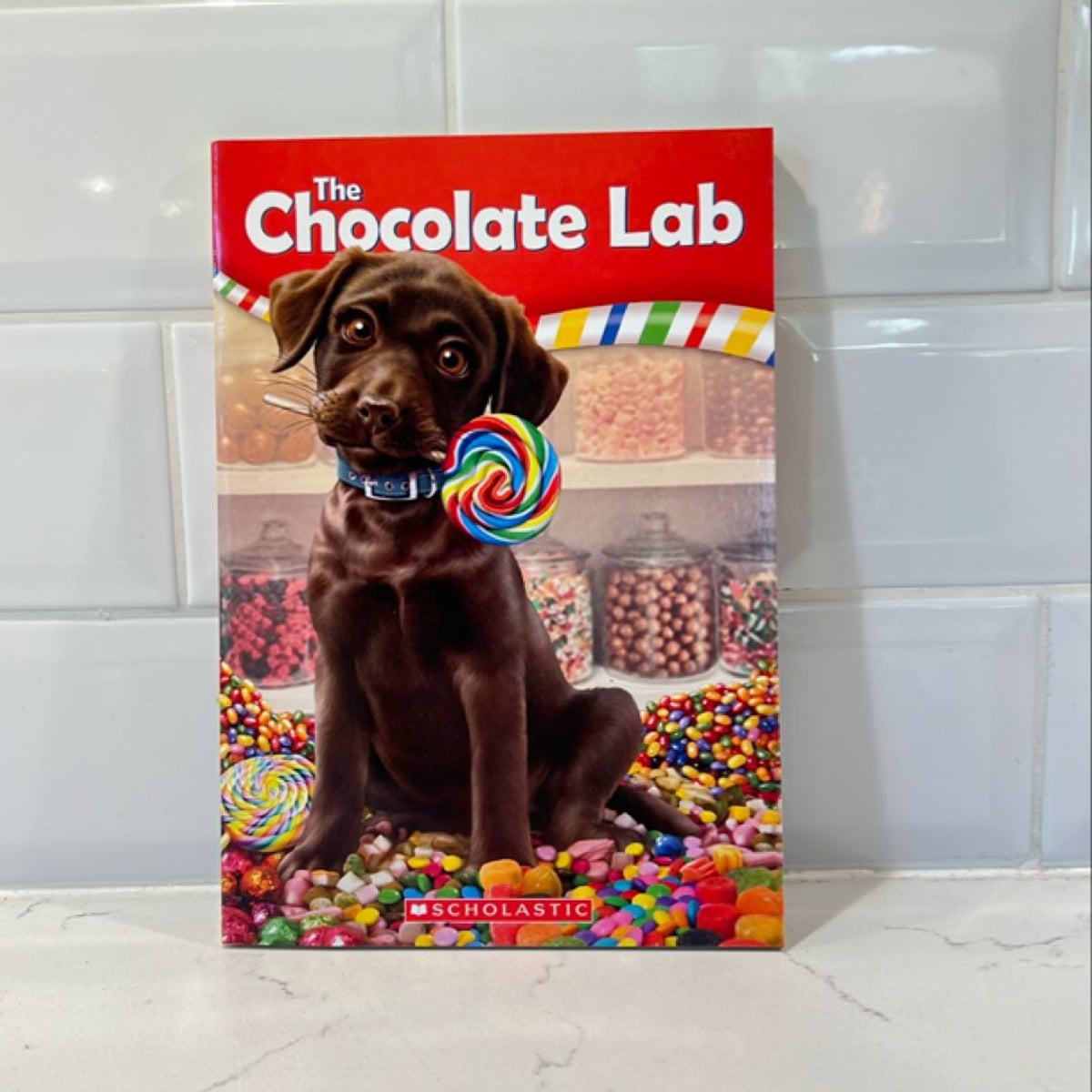The Chocolate Lab by Eric Luper