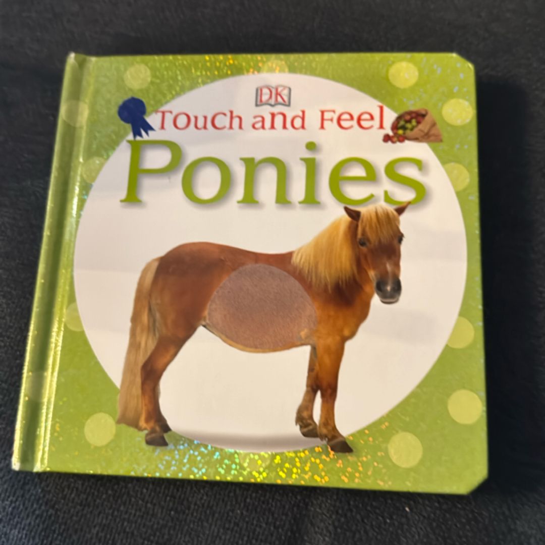 Touch and Feel: Ponies