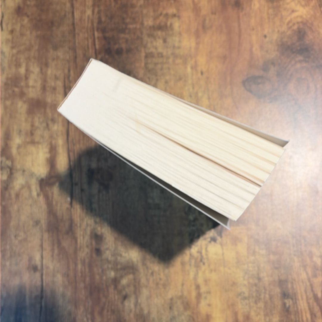 The Savage Detectives