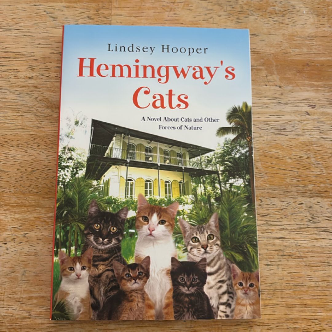 Hemingway's Cats