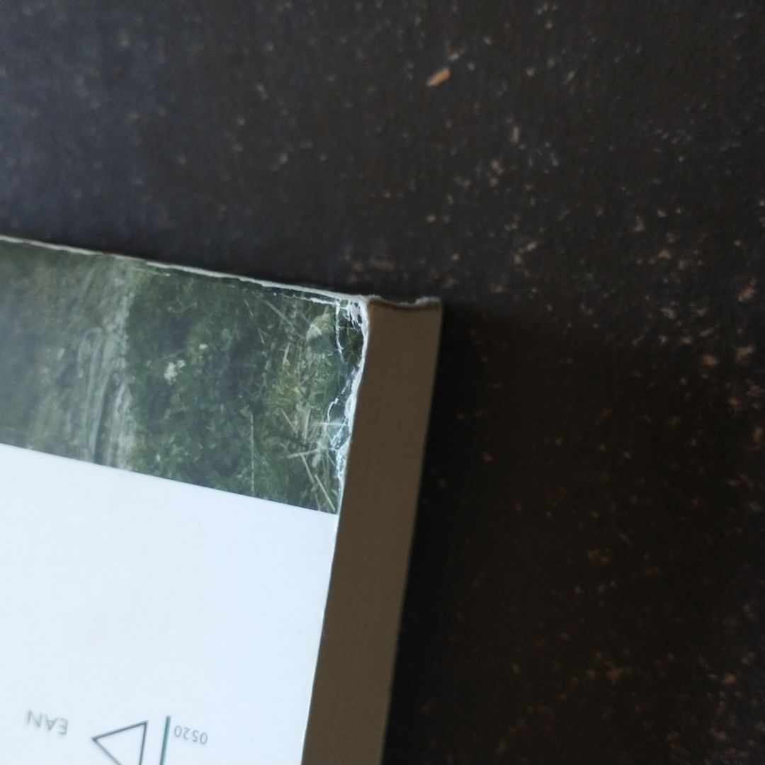 The Boy Who Followed His Father into Auschwitz