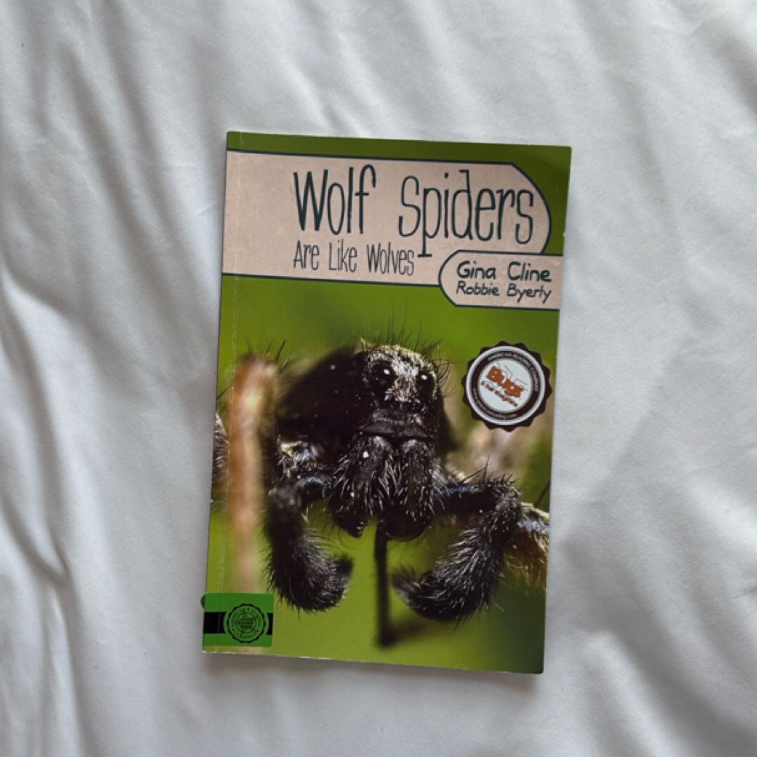 Wolf Spiders Are Like Wolves