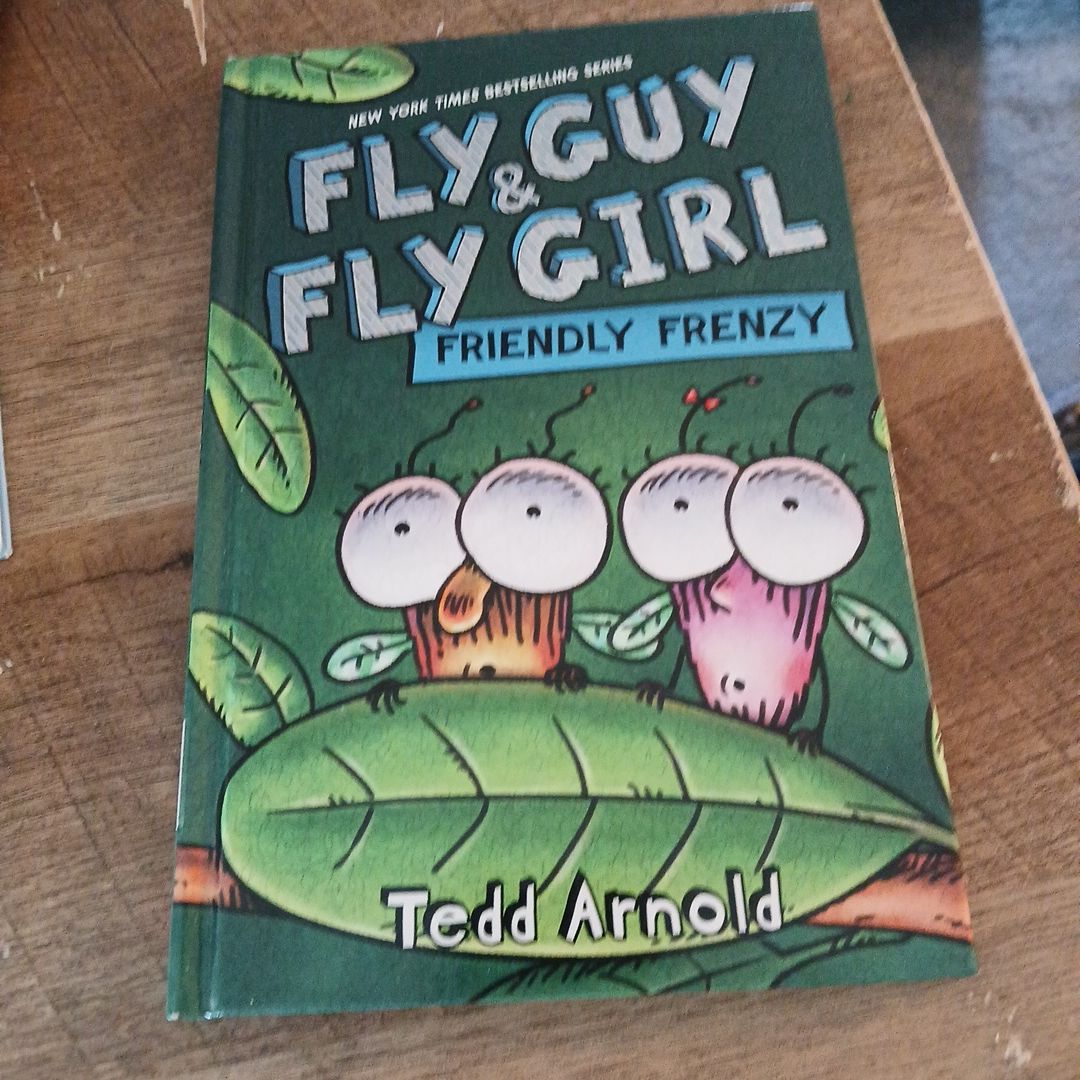 Fly Guy and Fly Girl: Friendly Frenzy