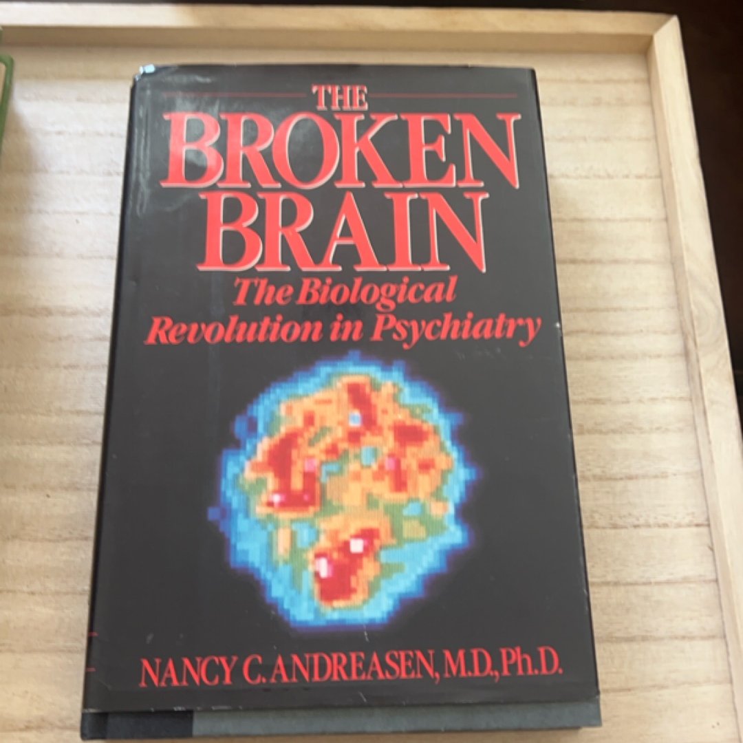 The Broken Brain