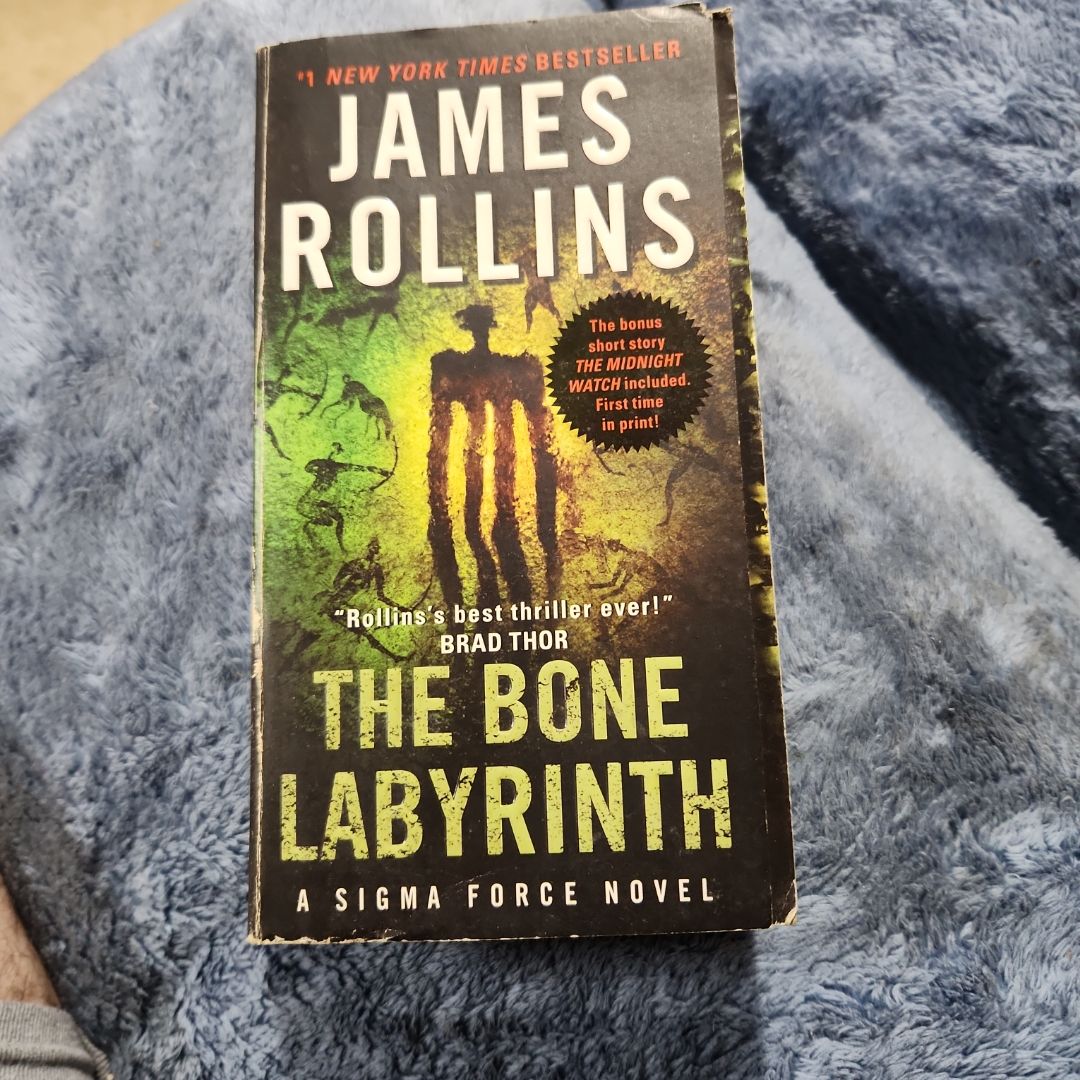 The Bone Labyrinth