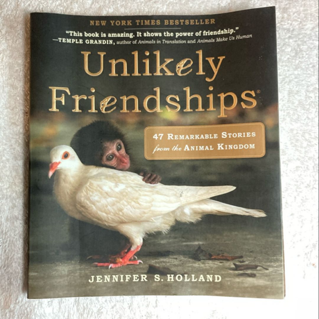 Unlikely Friendships 25C