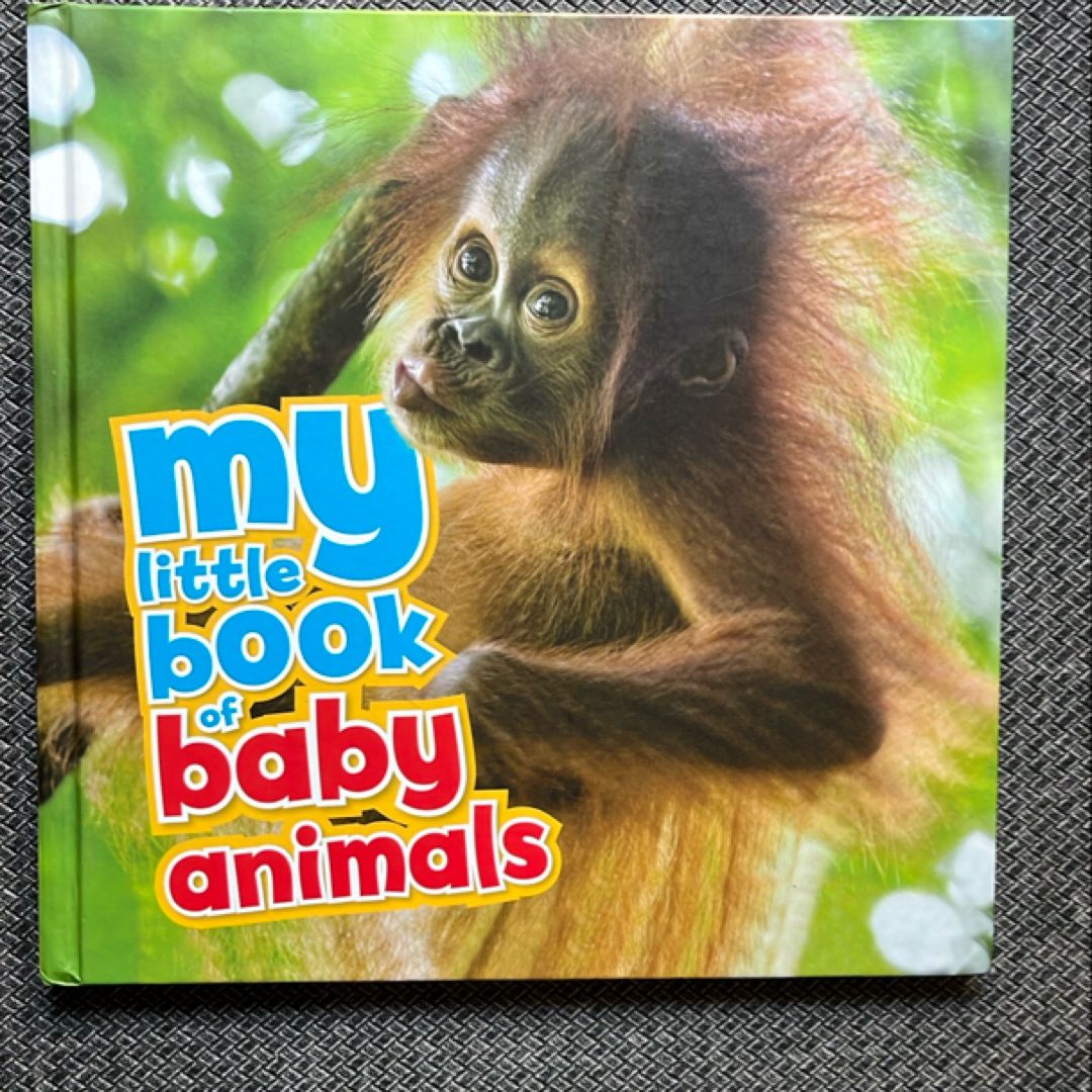 My Little Book of Baby Animals