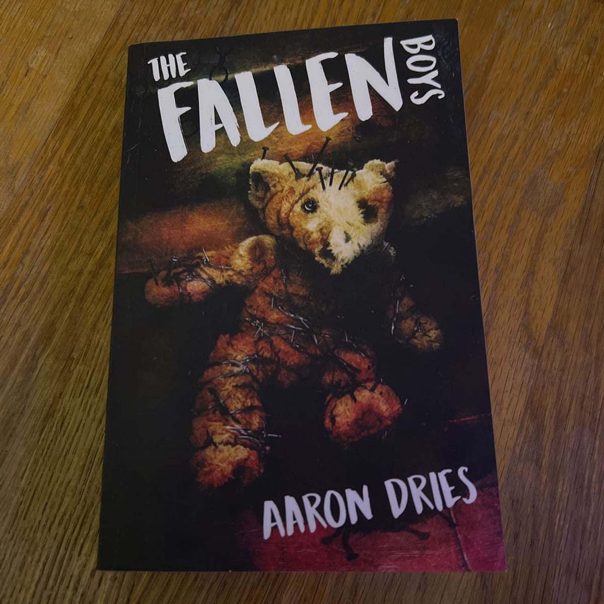 The Fallen Boys by Aaron Dries