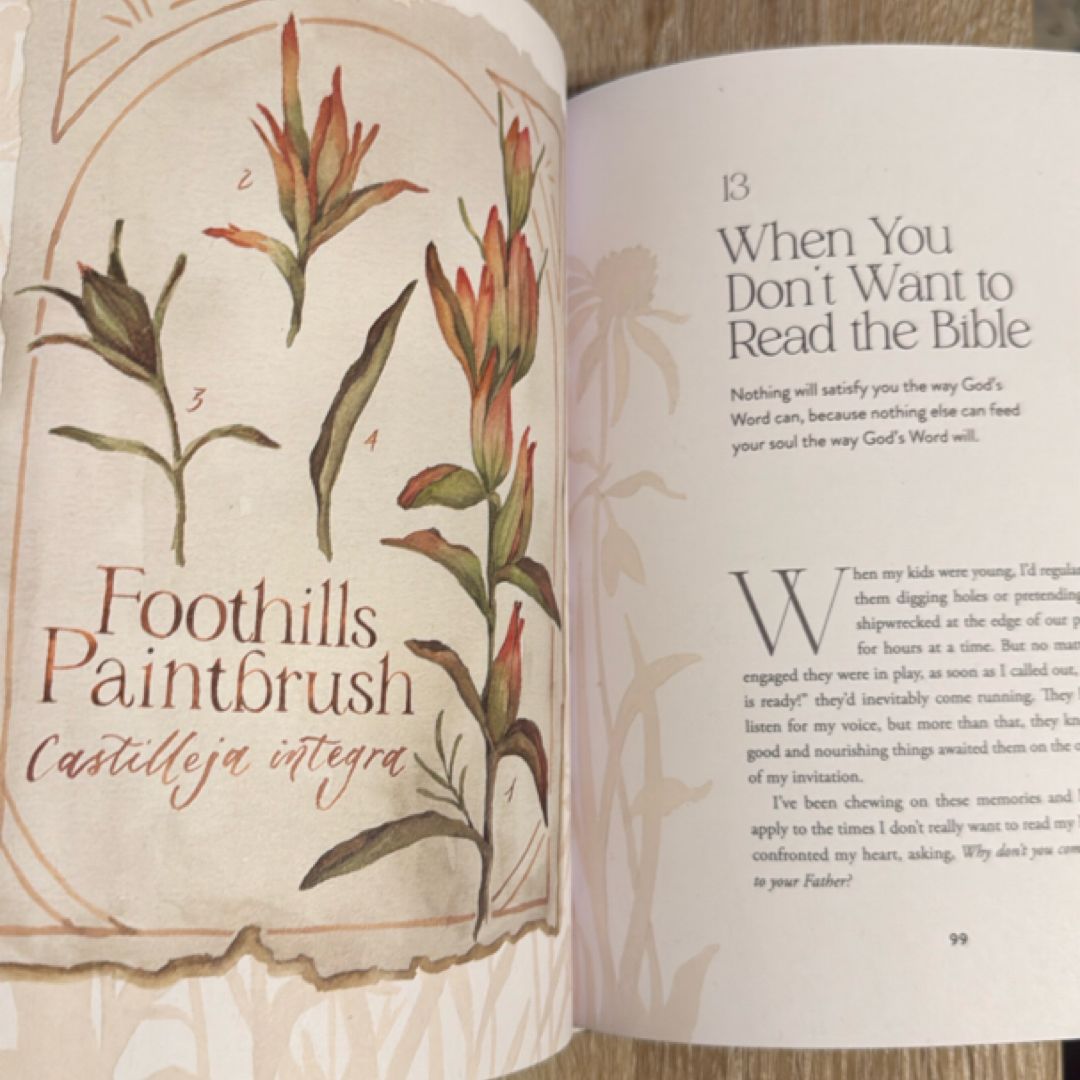 The Way of the Wildflower