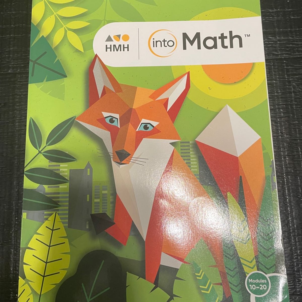 Into Math, Volume 1 and 2 Grade 5 by Houghton Mifflin Harcourt ...