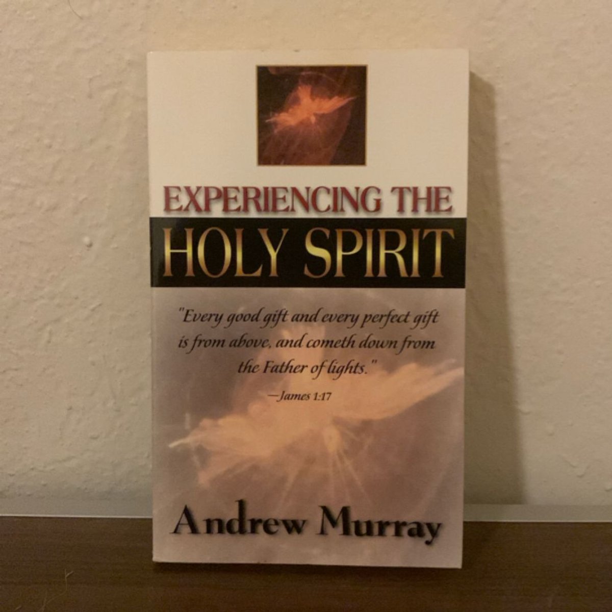 Experiencing the Holy Spirit by Andrew Murray