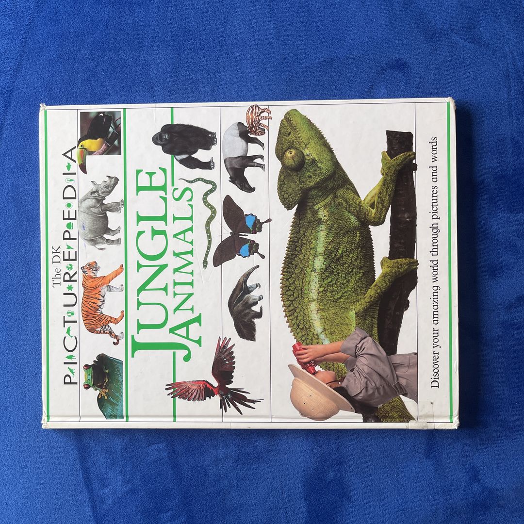 Jungle Animals