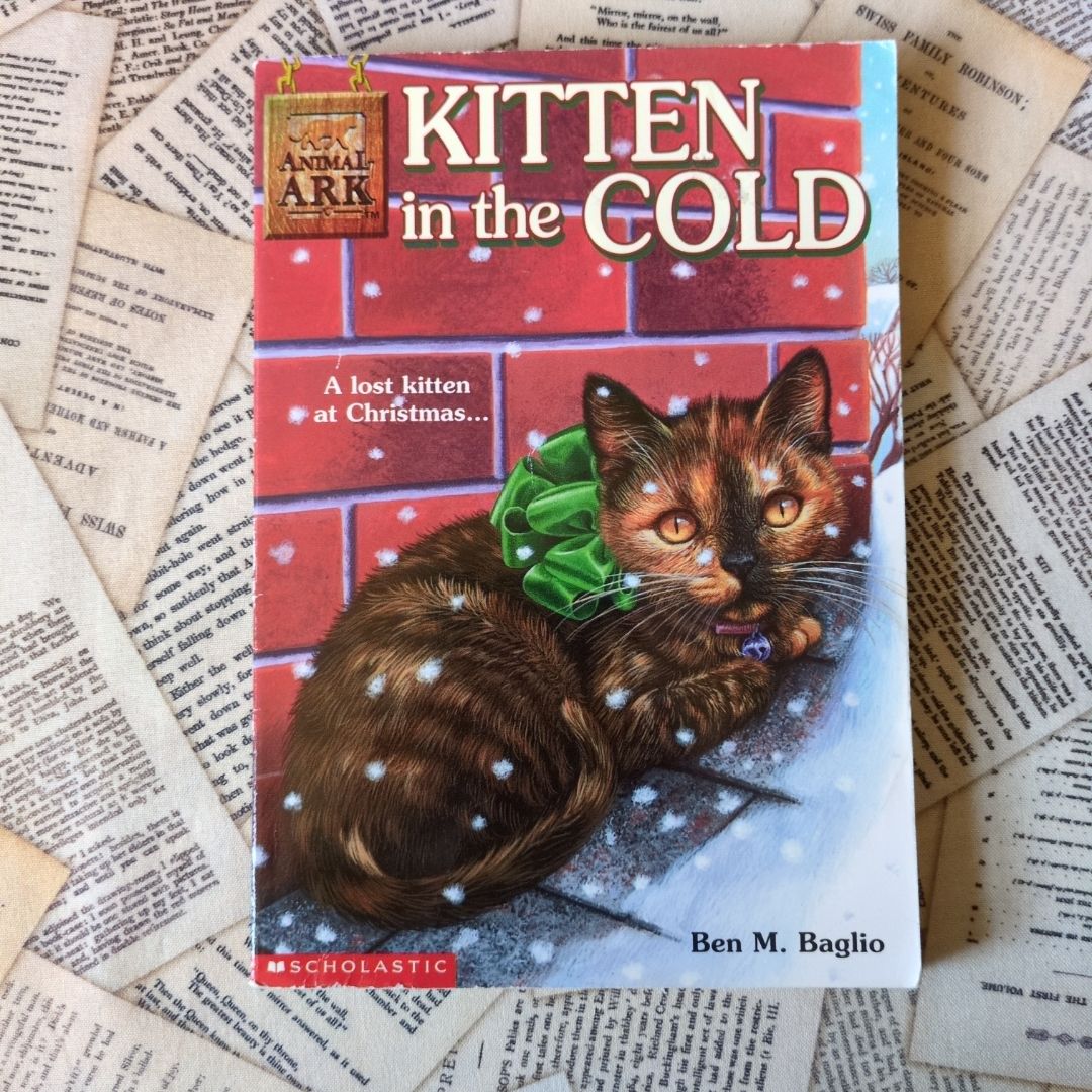 Kitten in the Cold