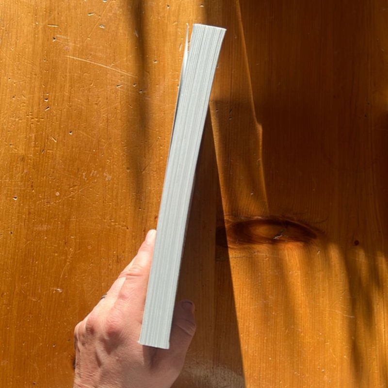 Let My People Go Surfing