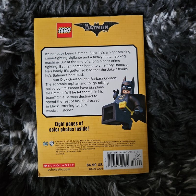 Lego Batman Junior Novel