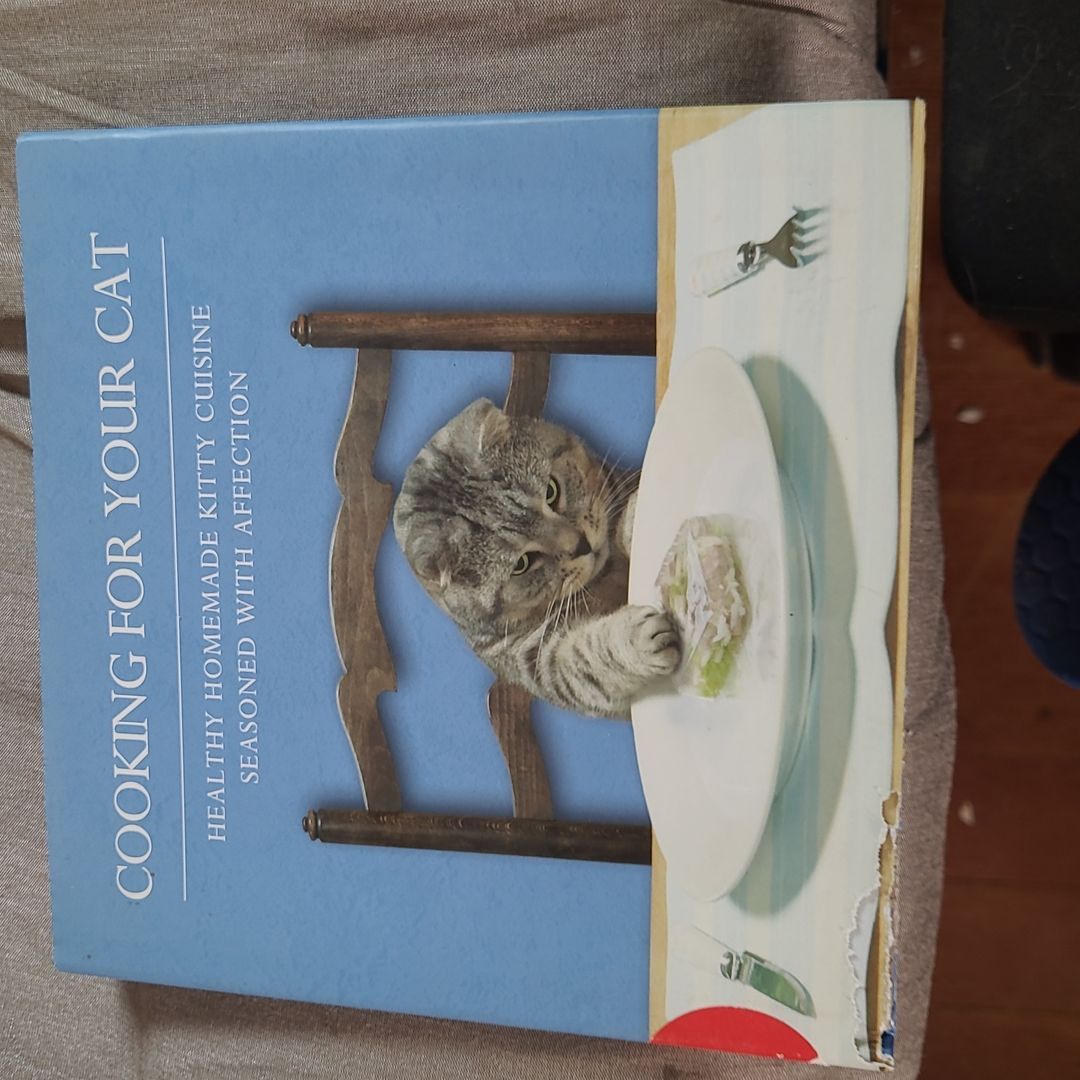 Cooking For Your Cat