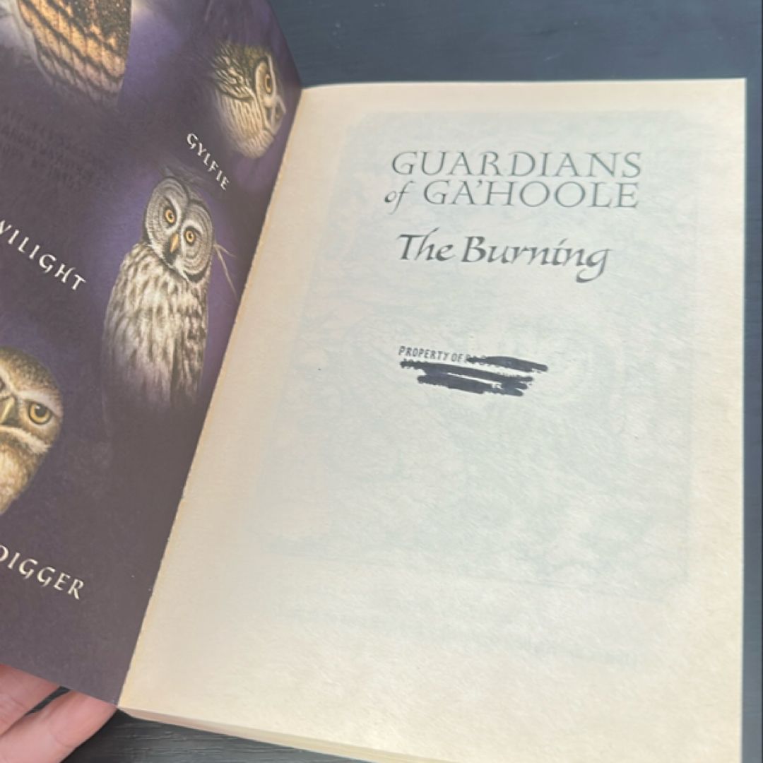 Guardians of Ga’Hoole: book 6: the burning 