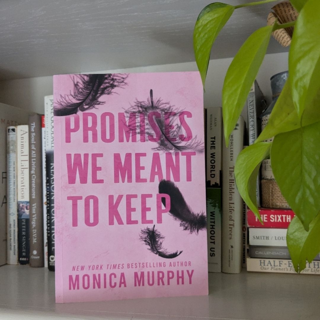 Promises We Meant to Keep