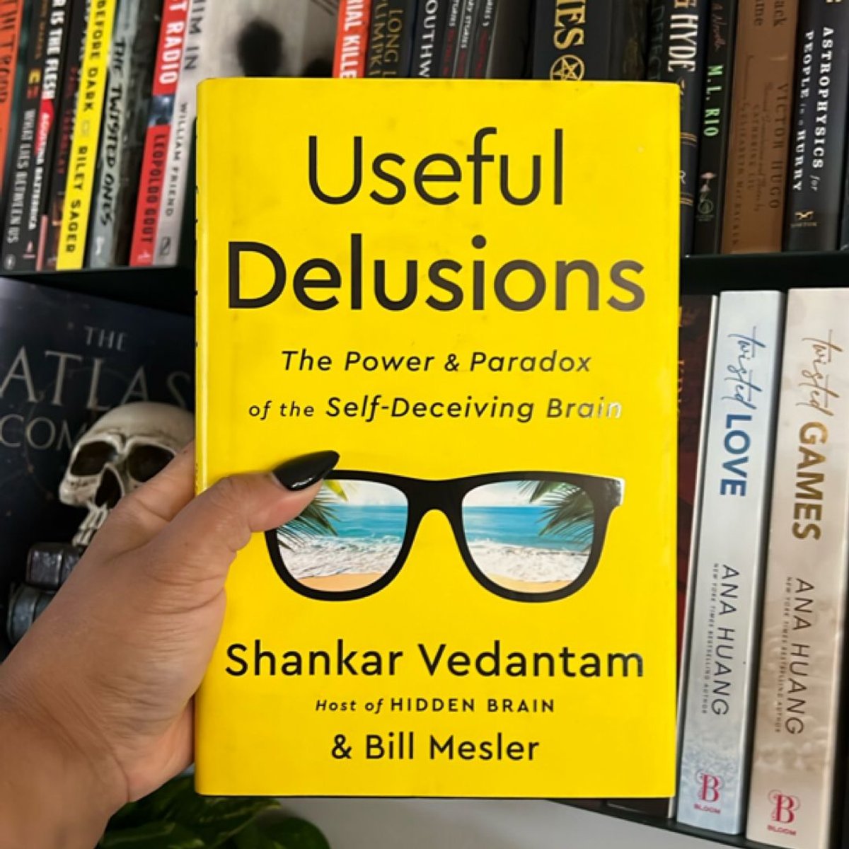Useful Delusions by Shankar Vedantam, Bill Mesler