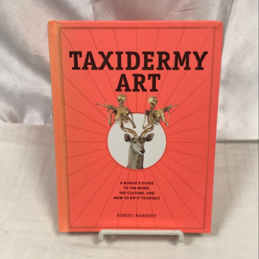 Taxidermy Art