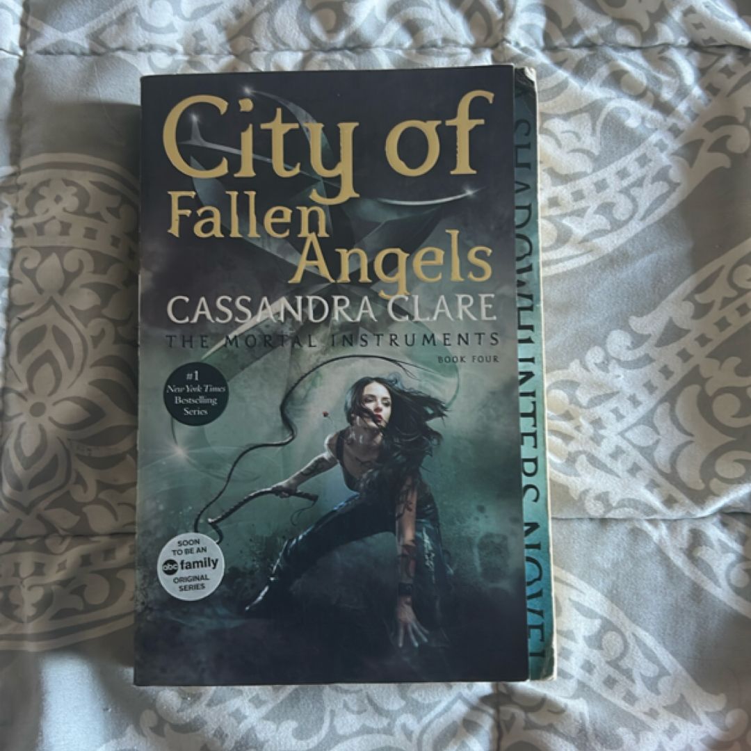 City of Fallen Angels