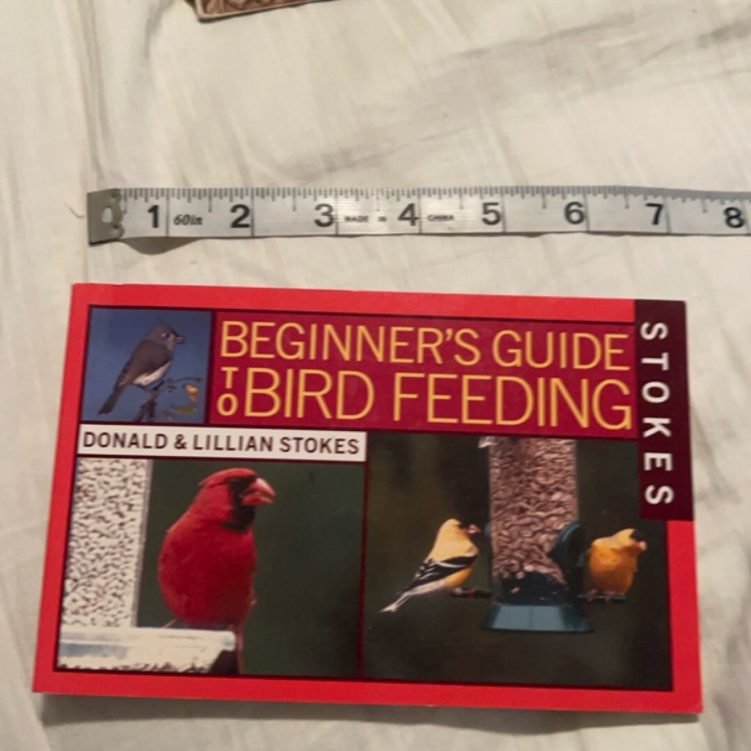 Beginner’s Guide to Bird Feeding