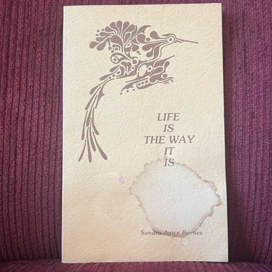 Life is the Way it is