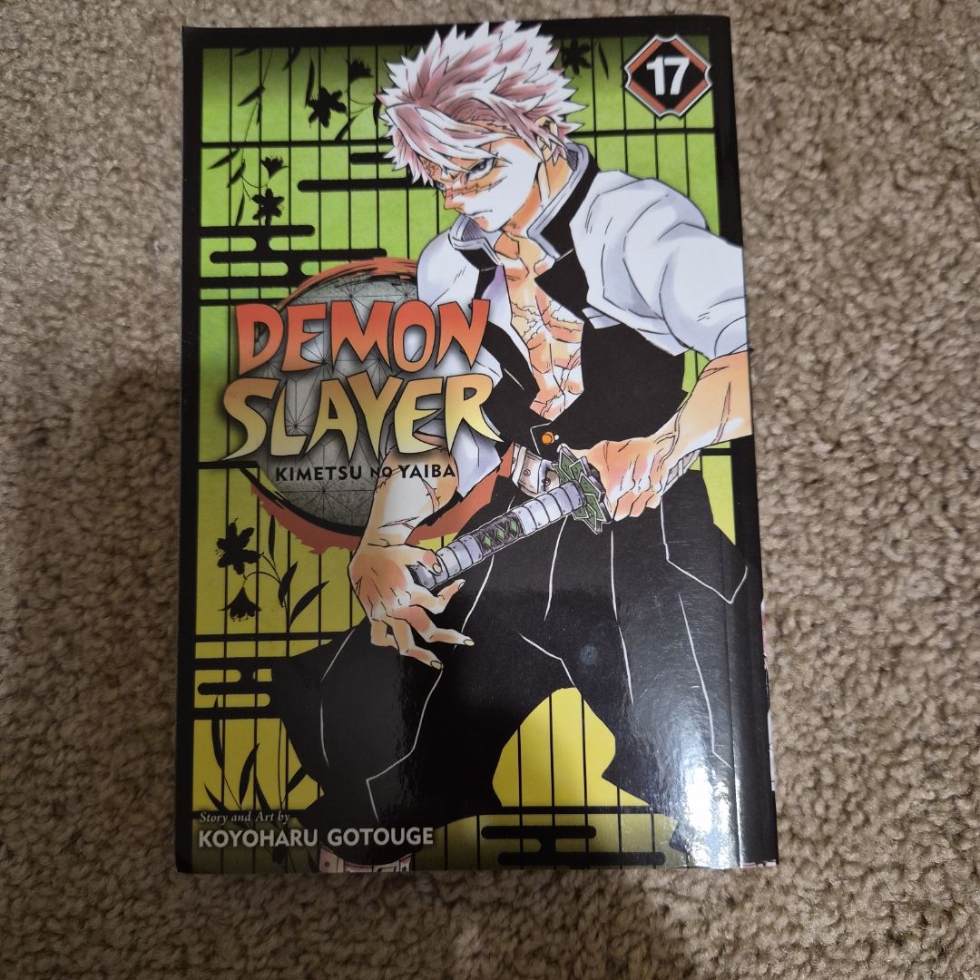 Demon Slayer: Kimetsu No Yaiba, Vol. 17