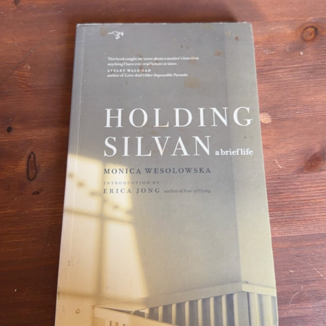 Holding Silvan